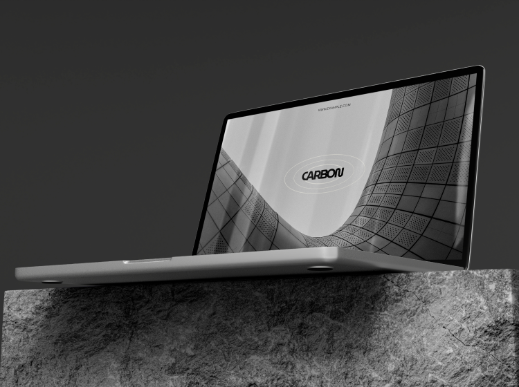 project pic 1.png